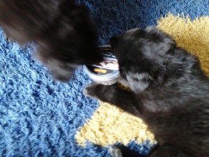 Assia und Arak Teamwork0705